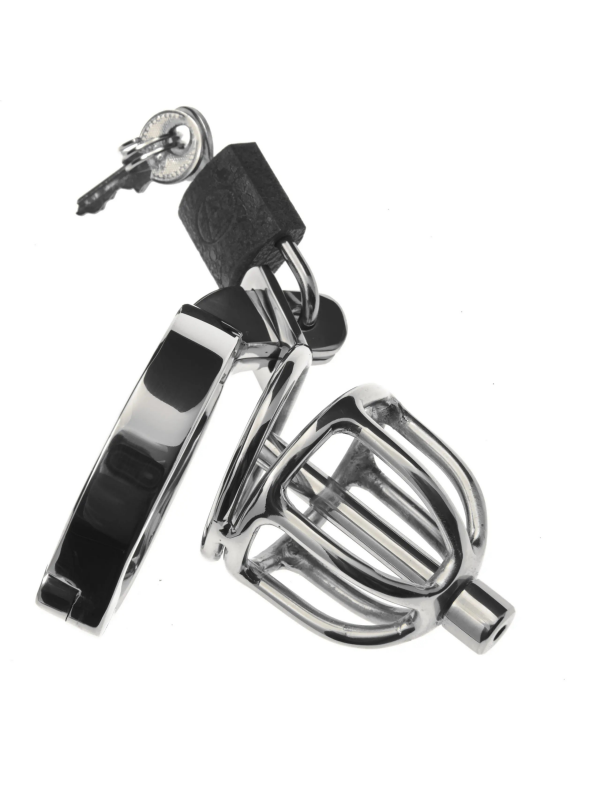 Nice 'n' Naughty Caged Chastity Cage Stainless Steel from Nice 'n' Naughty