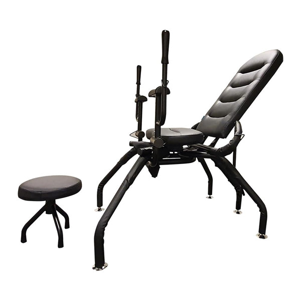 MOI The BDSM Kink Seat 2.0